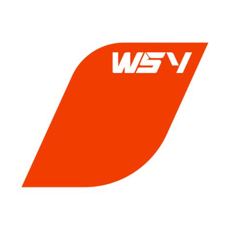 广告与公关服务 企业品牌腾飞的双翼