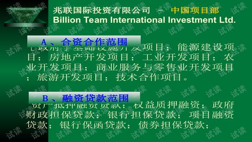 兆联公司项目策划与公关服务商业计划书